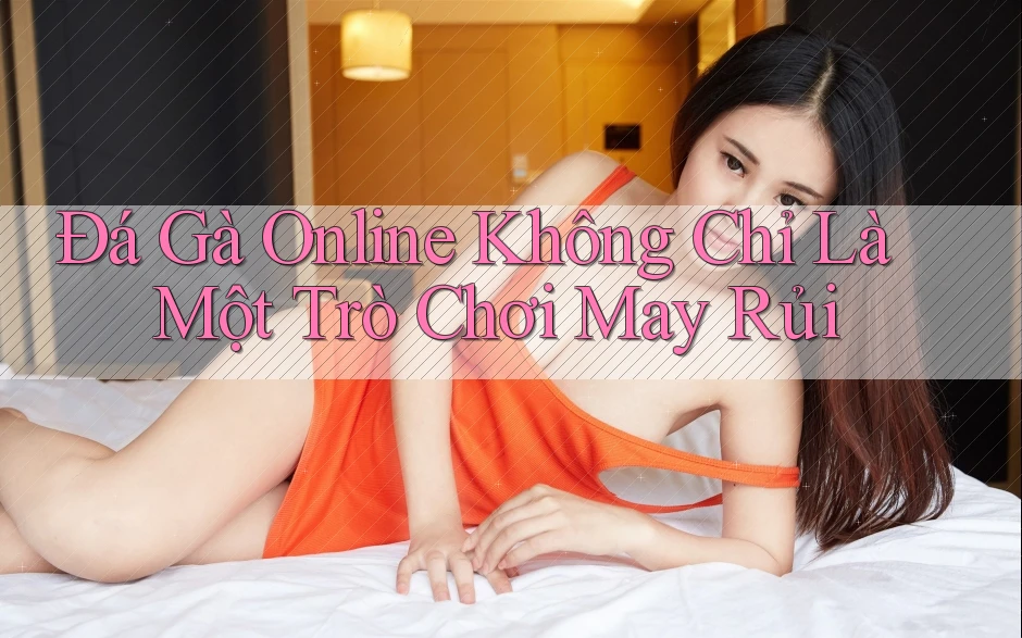 Đá Gà Online Không Chỉ Là Một Trò Chơi May Rủi