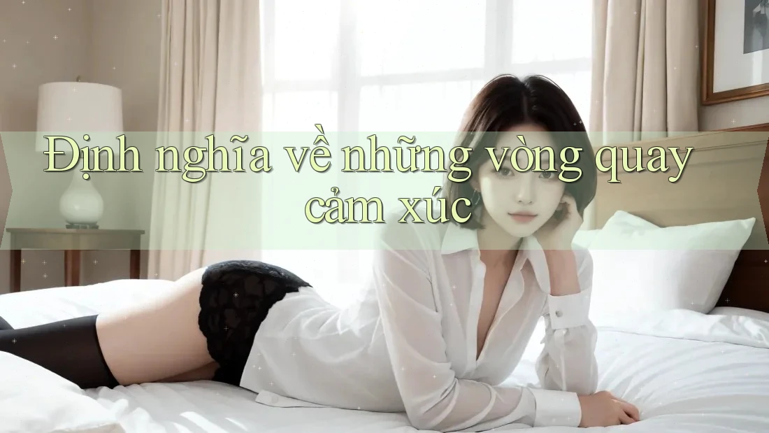 Định nghĩa về những vòng quay cảm xúc