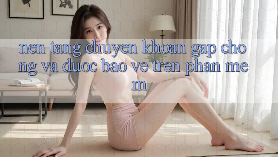 Nền tảng Chuyển khoản Gấp Chóng Và Được bảo vệ Trên Phần mềm